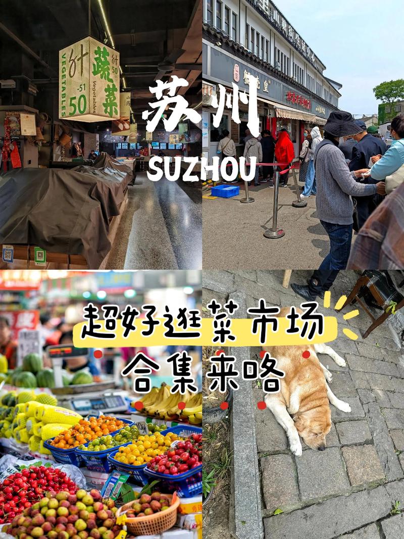 苏州商贸公司如何在市场中站稳脚跟